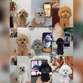 NQ Planet Custom Handmade Dog Ornament/Pendant with Pipe Cleaners Free Shipping